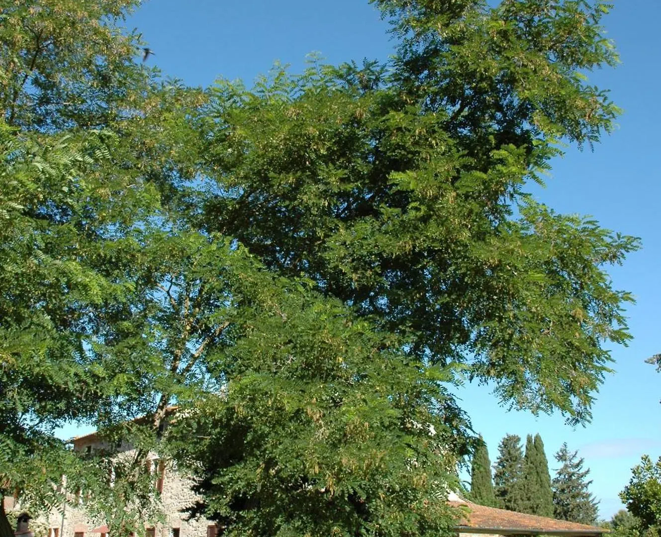 Agriturismo Le Piane Del Milia Villa Suvereto